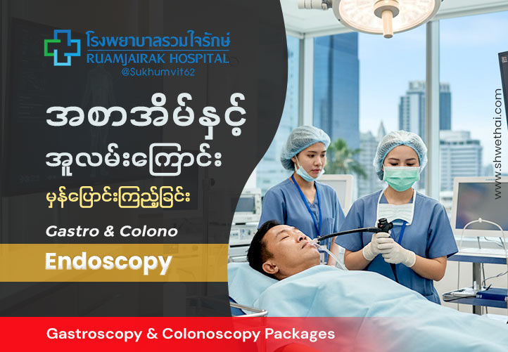 အစာအိမ်နှင့် အူလမ်းကြောင်း