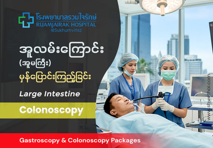 အူလမ်းကြောင်း (အူမကြီး)